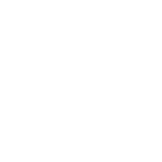 Big D Construction logo