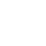 Brinkman Partners logo