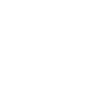 Sampson Construction logo